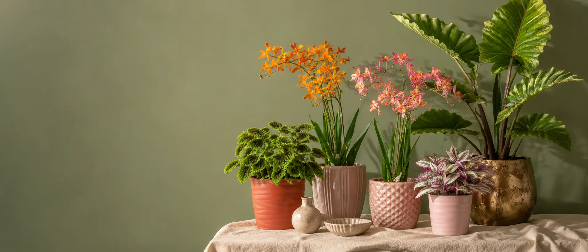 Decoflora - Bloeiende planten in sierpotten